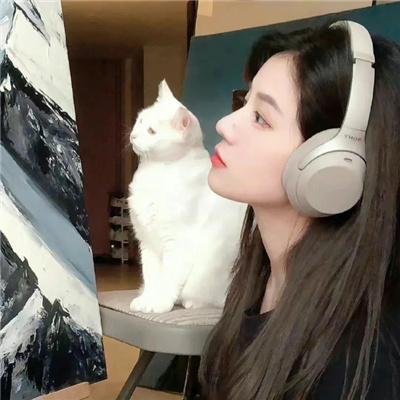 大唐歌飞